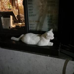 先锋影音5566资源
