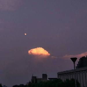 先锋影音5566资源
