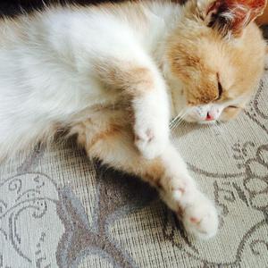 先锋影音5566资源
